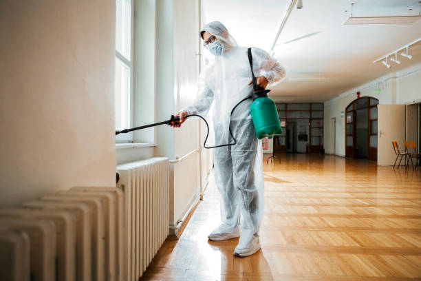 Emergency Pest Control in Hawaiian Gardens, CA